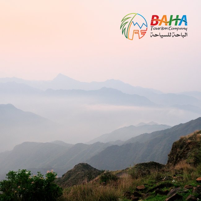 dunesberry provide a complete branding solution to Baha Tourism Company